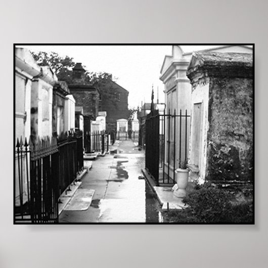 St. Louis Cemetery No. 1 Poster (Voorkant)