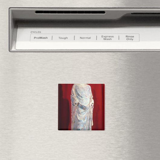 St. Louis Magneet (Insitu (Vaatwasser))