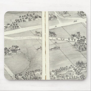 St. Louis, Missouri 16 Muismat