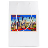 St. Louis Missouri  groot Briefkaart Medium Cadeauzakje (Voorkant)