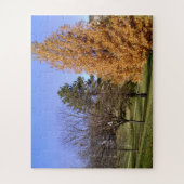 St Louis, MO Clifton Park Fall Trees Puzzle (Vertical)