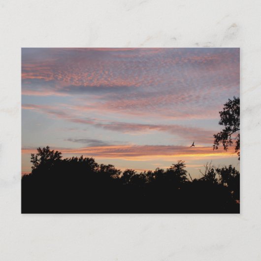 St. Louis Sunset Briefkaart (Voorkant)