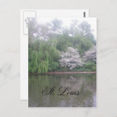 St. louis zoo briefkaart (Voorkant / Achterkant)