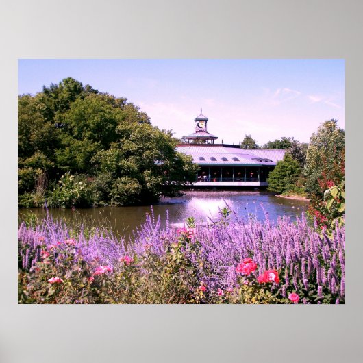 St. Louis Zoo Poster (Voorkant)