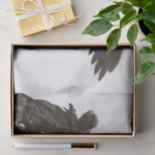 St. Michael Tissue Paper Tissuepapier (Geschenk)