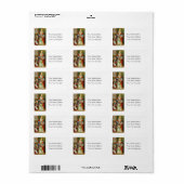 St. Nicholas Adres Label (Full Sheet)