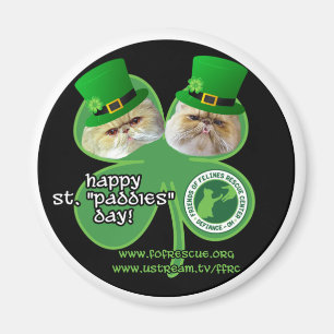 st . paddies day magnet - ontwerp 1 magneet