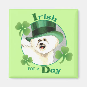 St. Patrick Dag Bichon Magneet