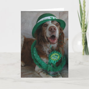 ST PATRICK DAG BRETAGNE KAART