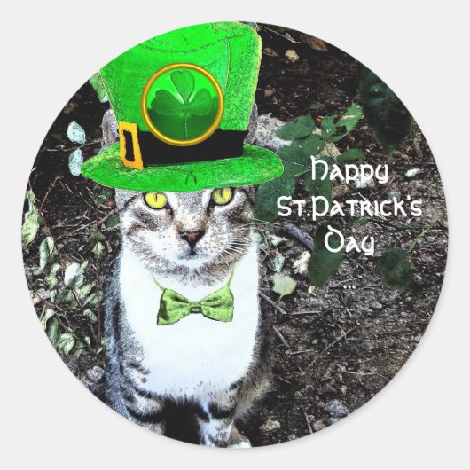 ST PATRICK DAG CAT MET LEPRECHAUN PET RONDE STICKER (Voorkant)