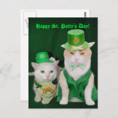 St. Patrick Katten Briefkaart (Voorkant / Achterkant)