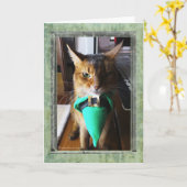 St. Patrick van de Kat van de kabouter het Kaart (Gele Bloem)