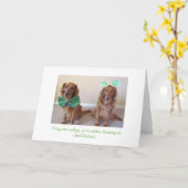 St. Patrick van het golden retriever de Kaart van (Gele Bloem)