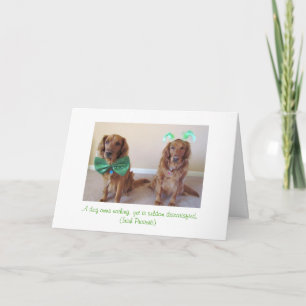 St. Patrick van het golden retriever de Kaart van
