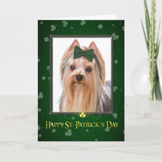 St. Patrick van Yorkie de Kaart van de Dag (Voorkant)