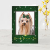 St. Patrick van Yorkie de Kaart van de Dag (Gele Bloem)