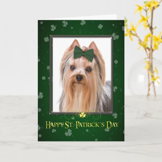 St. Patrick van Yorkie de Kaart van de Dag (Gele Bloem)