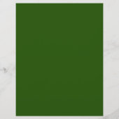 St. Patrick's Dag Bar Feest Folder Flyer (Achterkant)