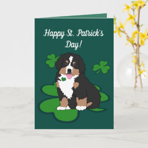 St. Patrick's Day Bernese Mountain Dog Kaart