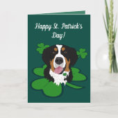 St. Patrick's Day Bernese Mountain Dog Kaart (Voorkant)