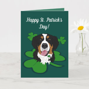 St. Patrick's Day Bernese Mountain Dog Kaart