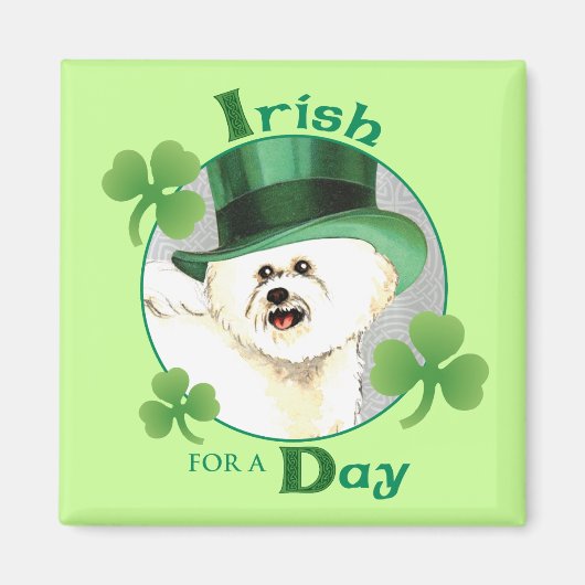 St. Patrick's Day Bichon Magneet (Voorkant)