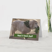 St. Patrick's Day Blessing Kaart (Voorkant)