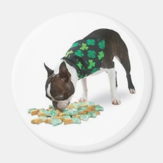 St. Patrick's Day Boston Terrier magneet (Voorkant)