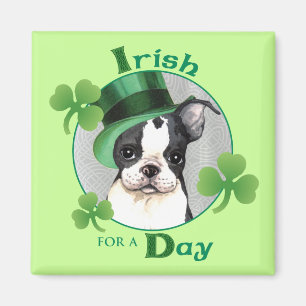 St. Patrick's Day Boston Terrier Magneet