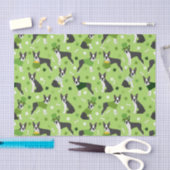 St. Patrick's Day Boston Terrier Tissuepapier (Craft)