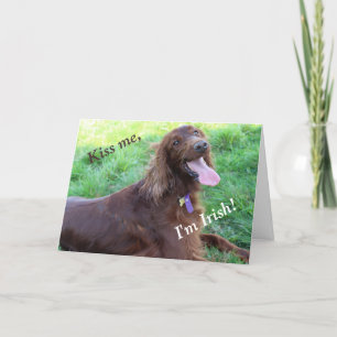 St. Patrick's Day Card met een Irish Setter Feestdagen Kaart
