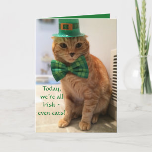 St. Patrick's Day Card met een schattige kat Kaart