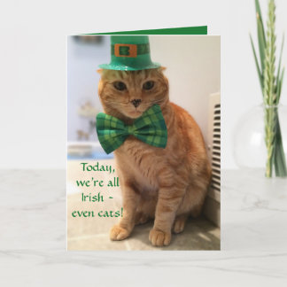 St. Patrick's Day Card met een schattige kat Kaart