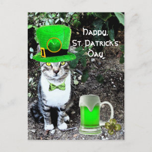 ST PATRICK'S DAY CAT MET GREEN IRISH BEER BRIEFKAART