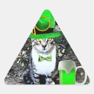ST PATRICK'S DAY CAT MET GREEN IRISH BEER DRIEHOEK STICKER