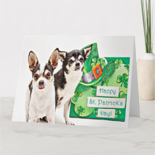 St. Patrick's Day Chihuahua's Kaart