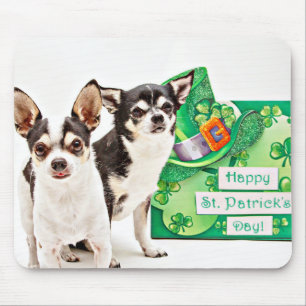 St. Patrick's Day Chihuahua's Muismat