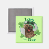 St. Patrick's Day Chocolate Lab Magneet (Voorkant / Achterkant)