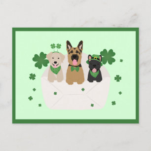 St Patricks Day Dog Mail Briefkaart