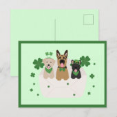 St Patricks Day Dog Mail Briefkaart (Voorkant / Achterkant)
