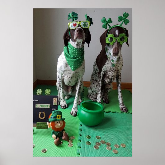 St. Patrick's Day Dogs Party Value Poster (Voorkant)