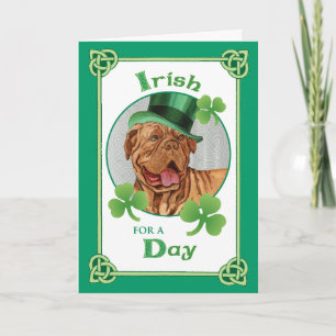 St. Patrick's Day Dogue de Bordeaux Kaart
