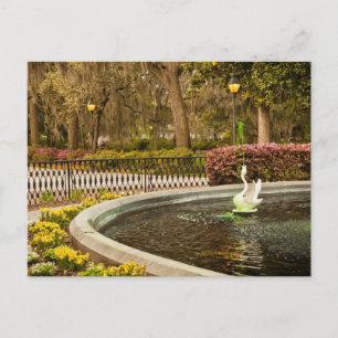 St Patrick's Day - Forsyth Fountain, Savannah, GA Briefkaart