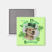 St. Patrick's Day Glen of Imal Terrier Magneet (Voorkant / Achterkant)