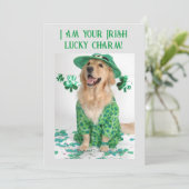 St. Patrick's Day Grappige Aanpasbare Hond kaart (Staand voorkant)