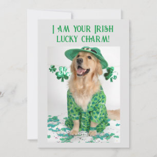 St. Patrick's Day Grappige Aanpasbare Hond kaart