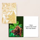 St. Patrick's Day Irish Setter in Clovers, ZSSG Folie Kaarten (Display)