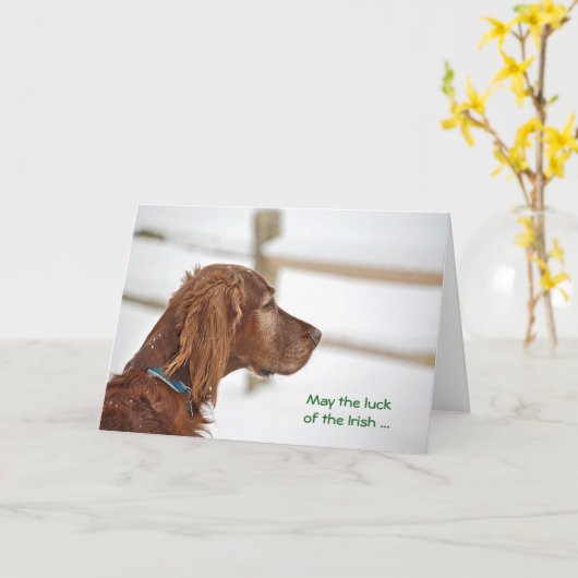 St. Patrick's Day Irish Setter Kaart (Gele Bloem)