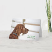 St. Patrick's Day Irish Setter Kaart (Voorkant)