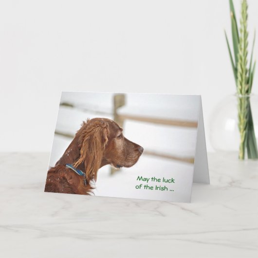 St. Patrick's Day Irish Setter Kaart (Voorkant)